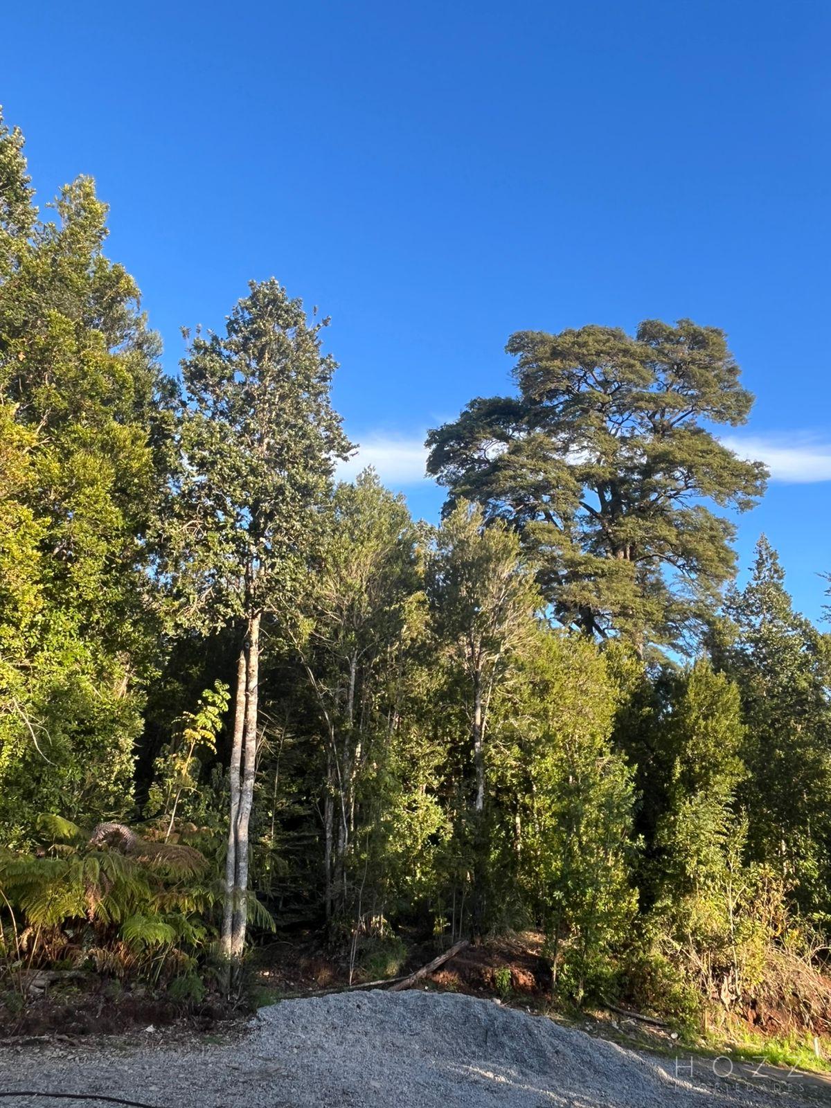VENTA TERRENO - CAMINO A BRAUNUAU - PUERTO VARAS